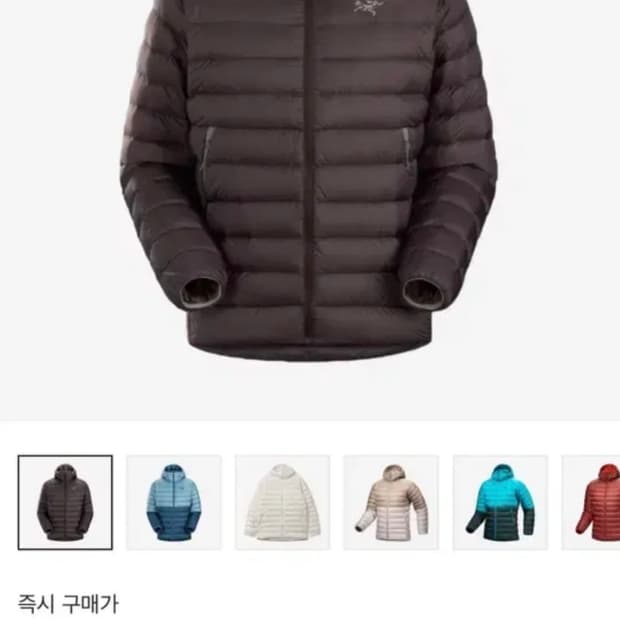 아크테릭스 세륨 후디xl