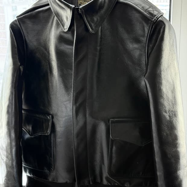 버즈릭슨 A-2 윌리엄깁슨 38 (BR80596)