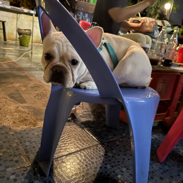 유니클로 르메르 후드티 브라운