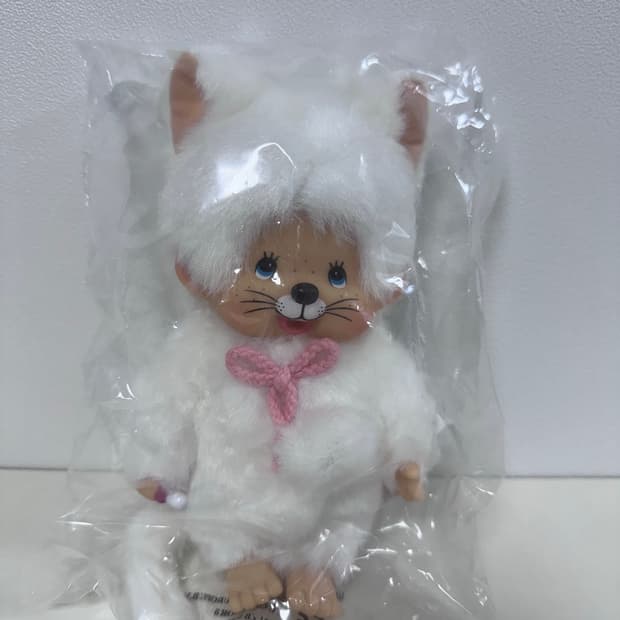 몬치치 화이트 고양이