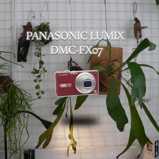 작례⭕️ 파나소닉 루믹스 DMC-FX07