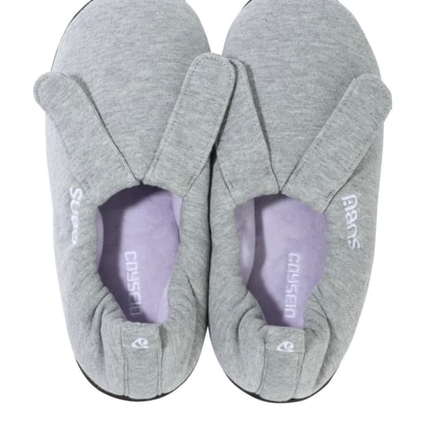 코이세이오 스부 콜라보 (0)