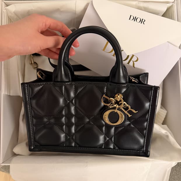 디올 북토트 미니백 레더 블랙