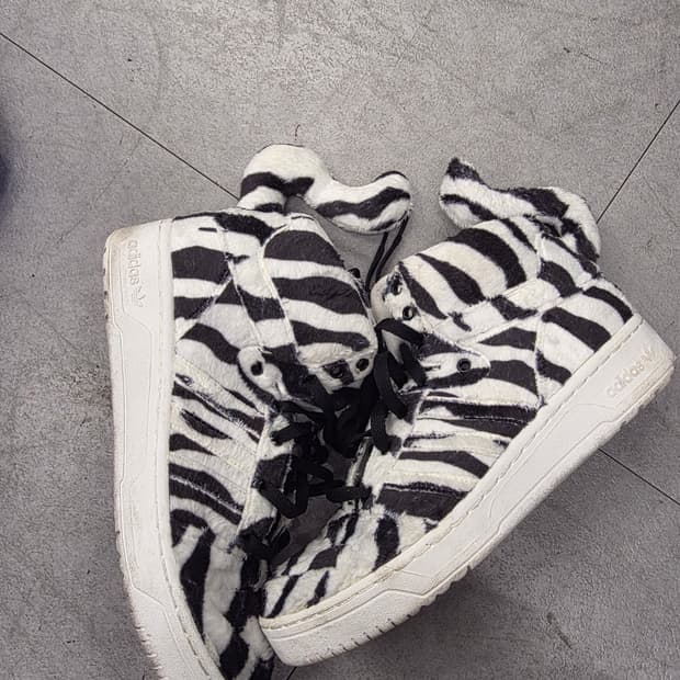 제레미스캇 지브라(270)