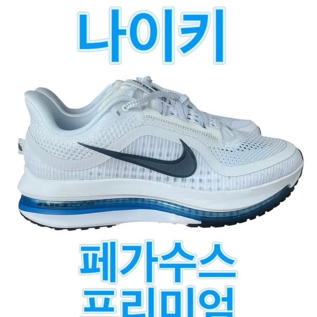 나이키 페가수스 프리미엄