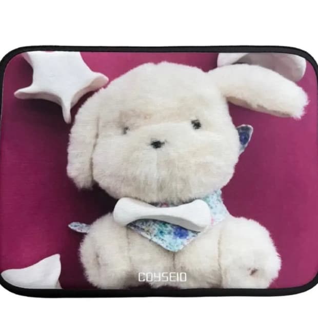 코이세이오 노트북 파우치