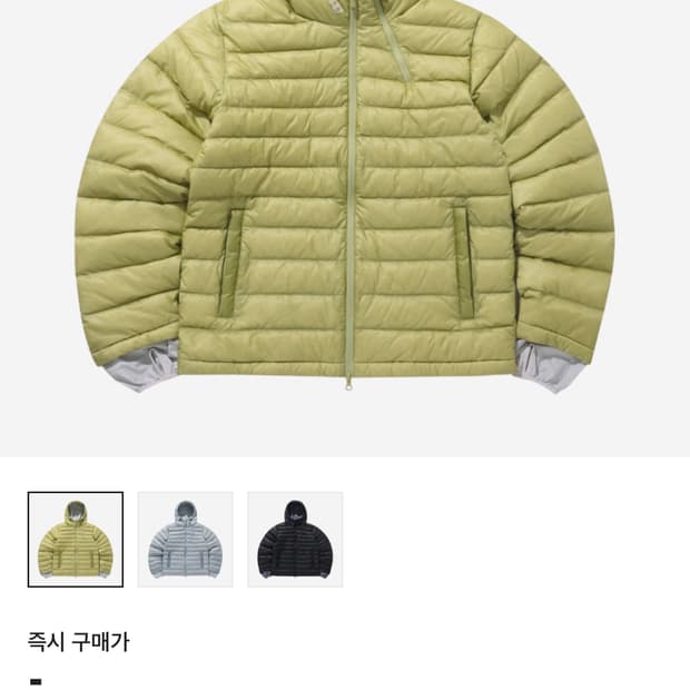 산산기어 23FW 서픽스 푸퍼 라이트 그린 삽니다