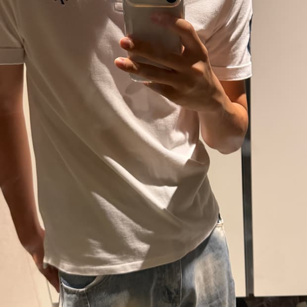 폴로 빅포니
