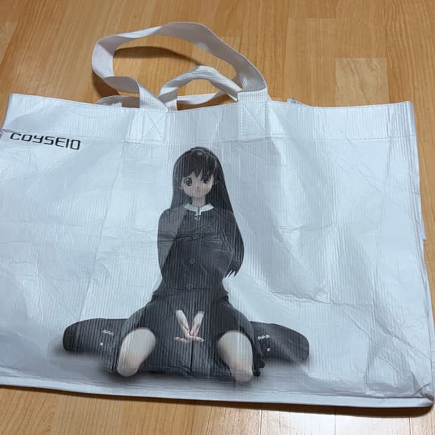 코이세이오 타포린백