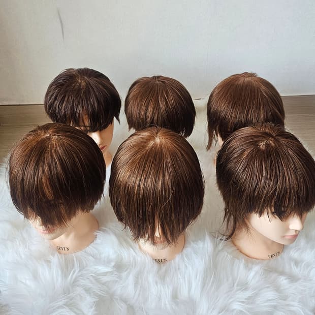 미용 국가고시 남성컷 연습용 비너스(VENUS) 통가발 6개 세트