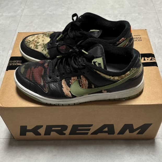 나이키 SE 카모 덩크 로우 265