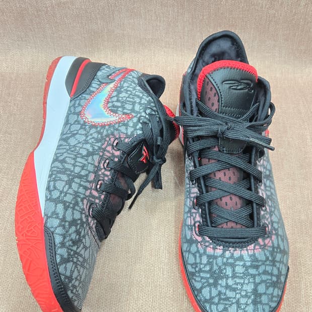 나이키 미착용 260mm-  르브론 NXXT 젠 EP   