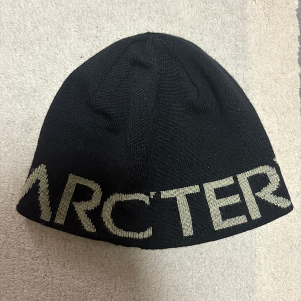 아크테릭스 비니