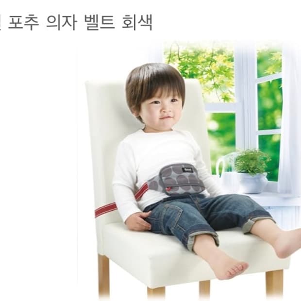 리첼(Richell) 포추(Pouchu) 의자 벨트