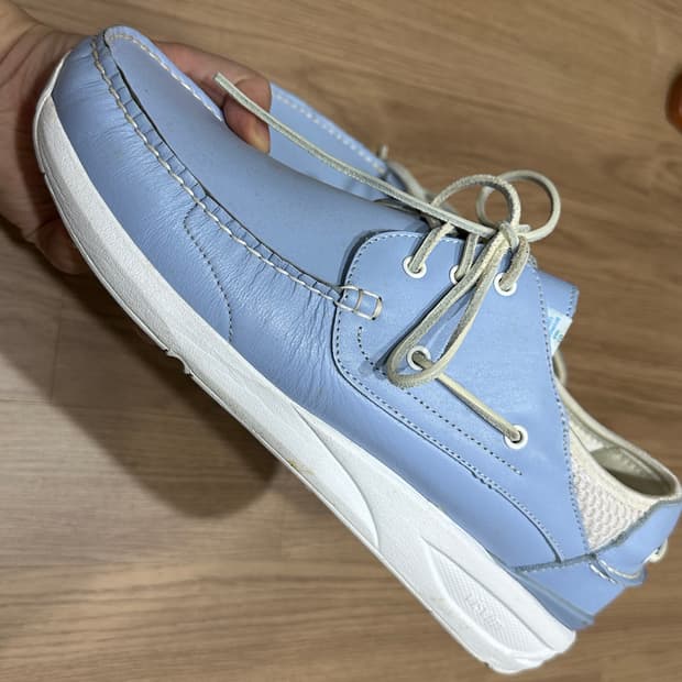 비즈빔 호크니 연보라 