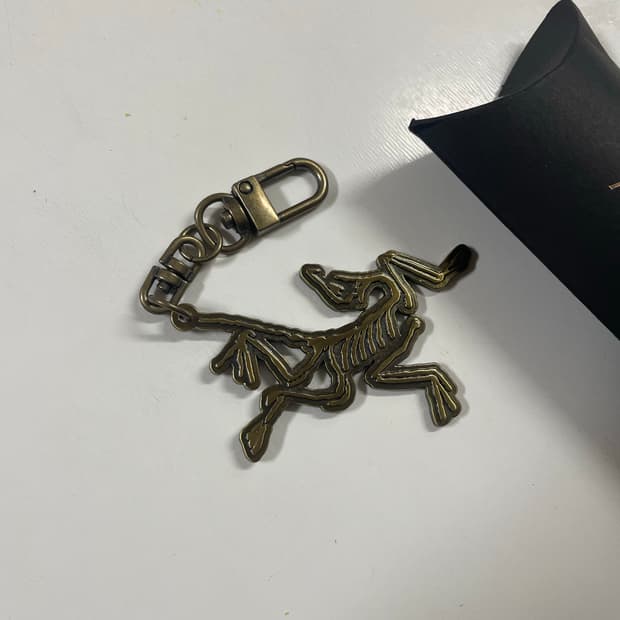 아크테릭스 키링 골드메탈 