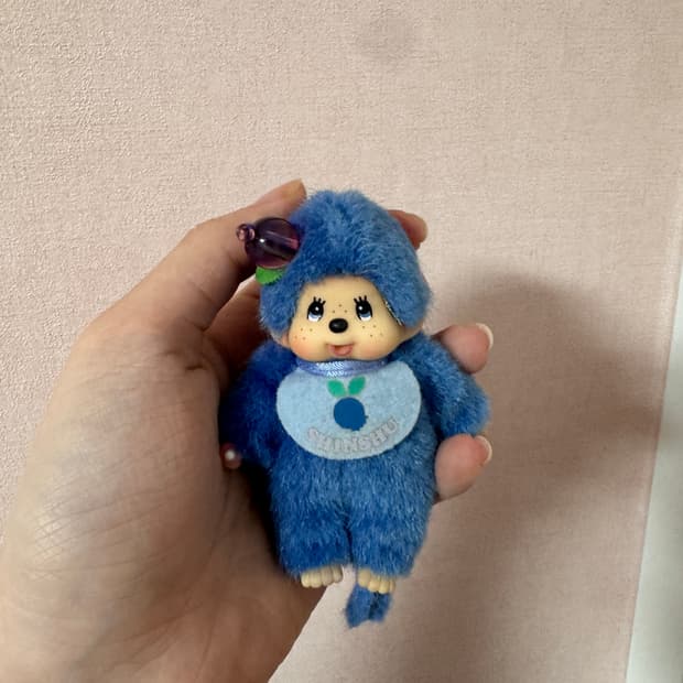 지역한정 블루베리 몬치치 미니 희귀
