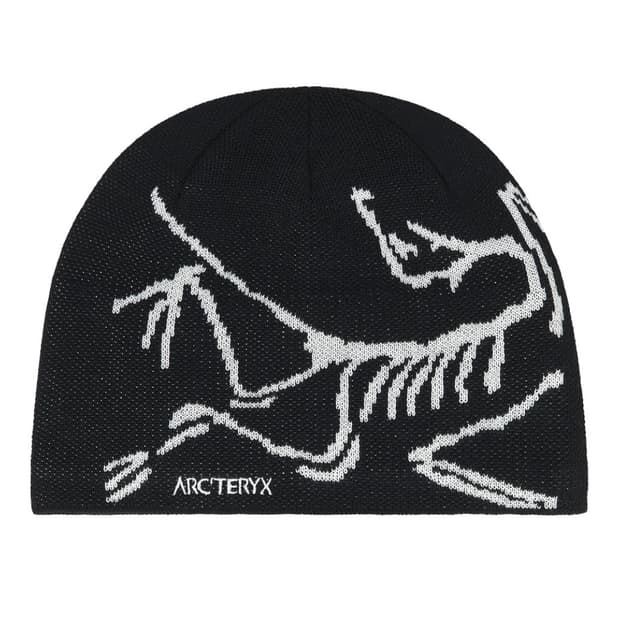 아크테릭스 버드 헤드 토크 오르카 (1회착)