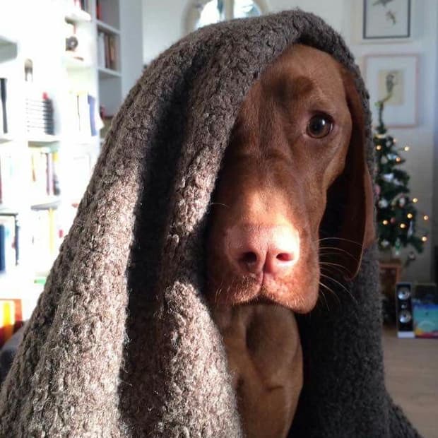 *ghostpangpang님 결제창*