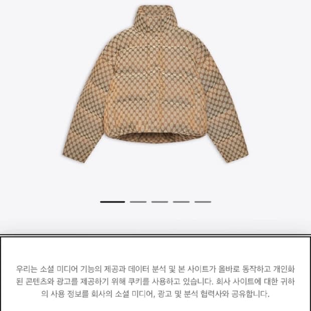 구찌 발렌시아가 해커 남성패딩