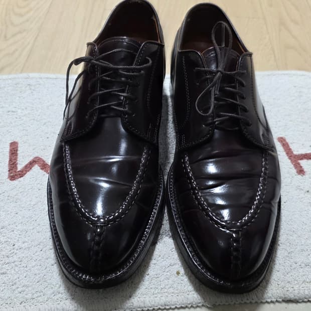 알든 2210 nst 270mm 9D