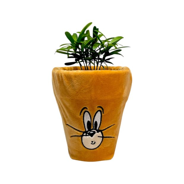 Tom & Jerry  Plant Pot
