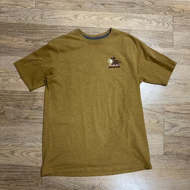 Patagonia Men’s T-Shirt