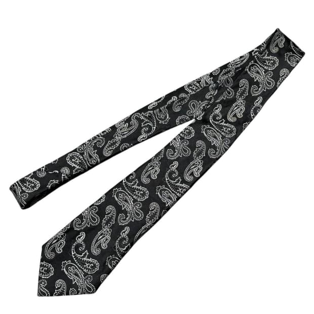 디올옴므 페이즐리 실크 넥타이 크리스반아쉐
