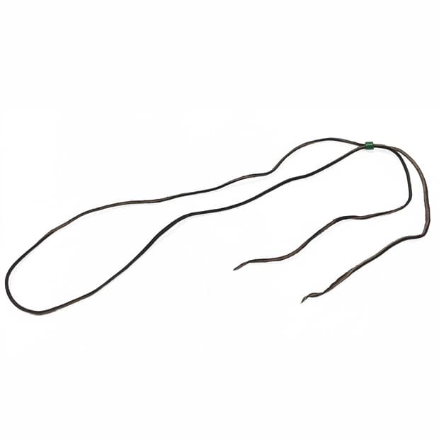 고로스 (Goro’s)