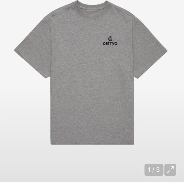 오스트리야 반팔 26SS Core Logo Tee Gray