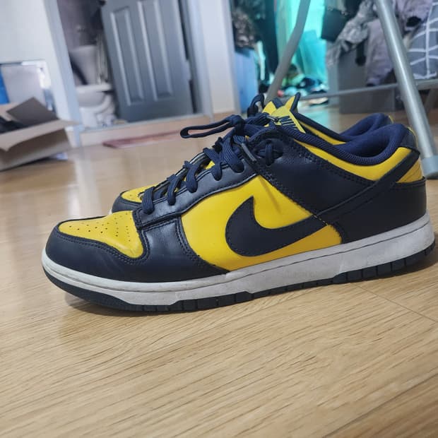 나이키 덩크 로우 레트로 바시티 메이즈