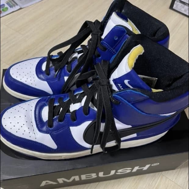 나이키 엠부쉬 덩크 275