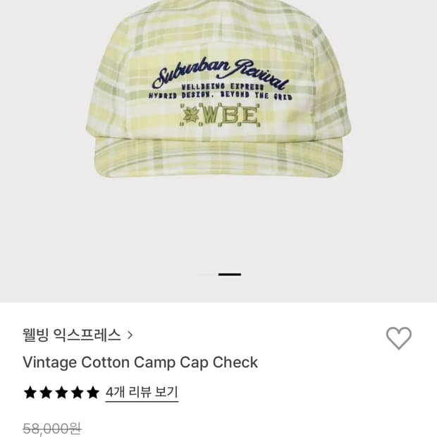 웰빙익스프레스 캠프캡
