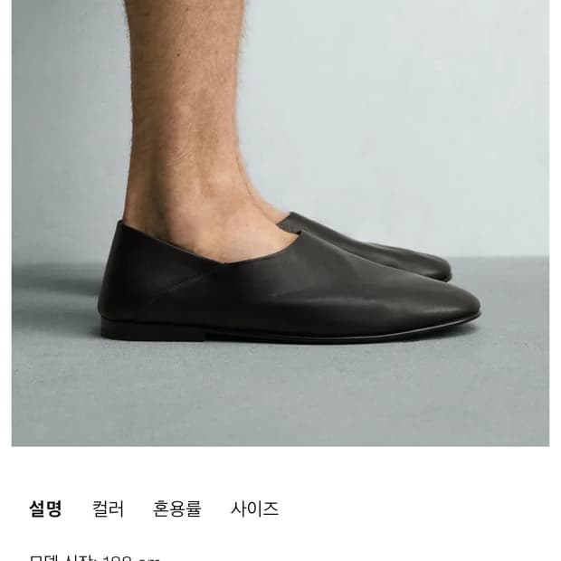 자라 레더로퍼