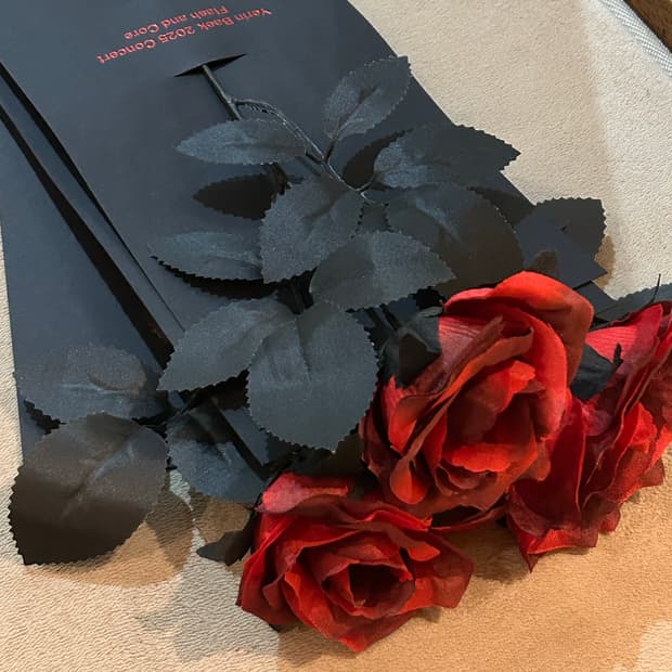 백예린 장미 굿즈