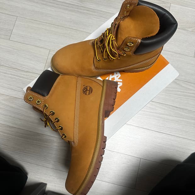 팀버랜드 6인치 260