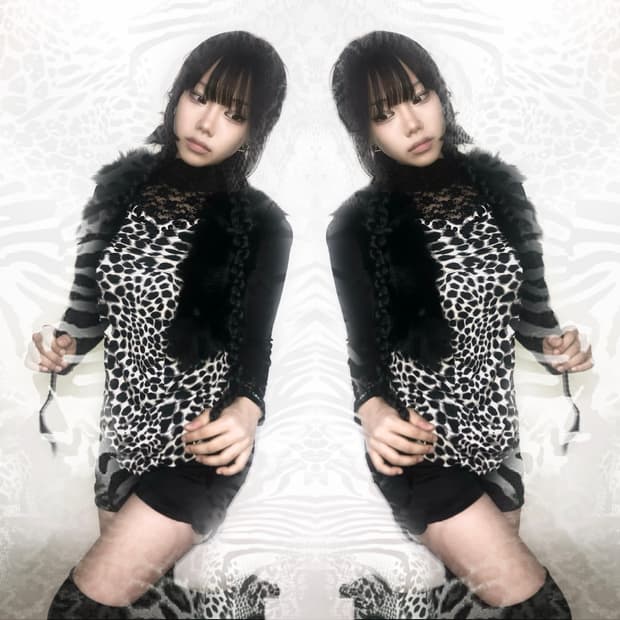 black leopard point coordi set