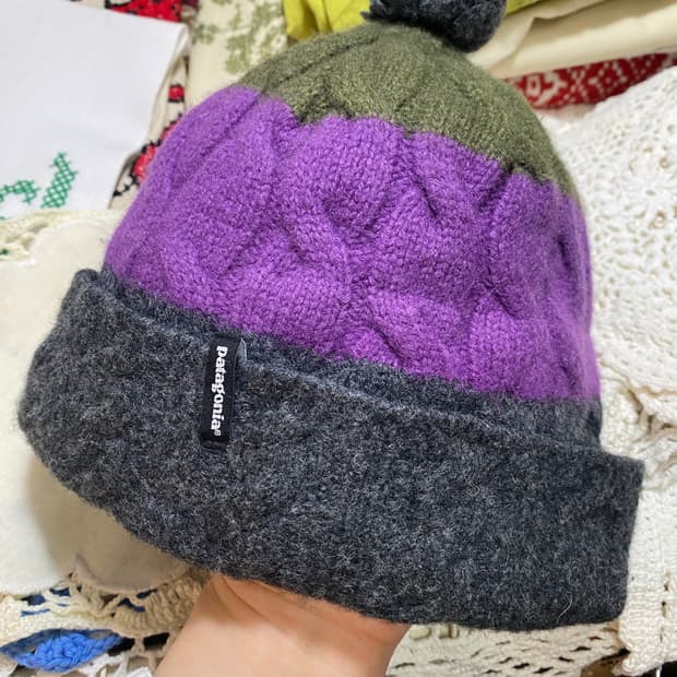 파타고니아 비니