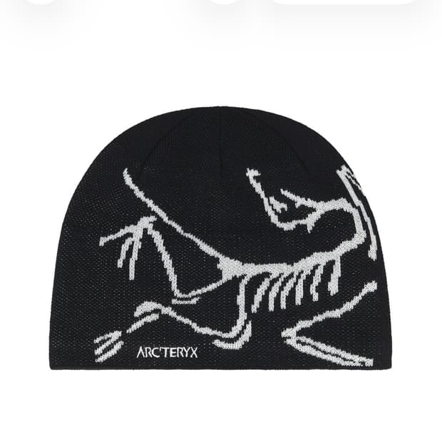 아크테릭스 버드 헤드 토크 오르카 