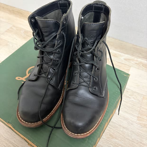 대너 윌리엄스6