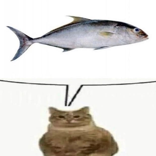 결제창