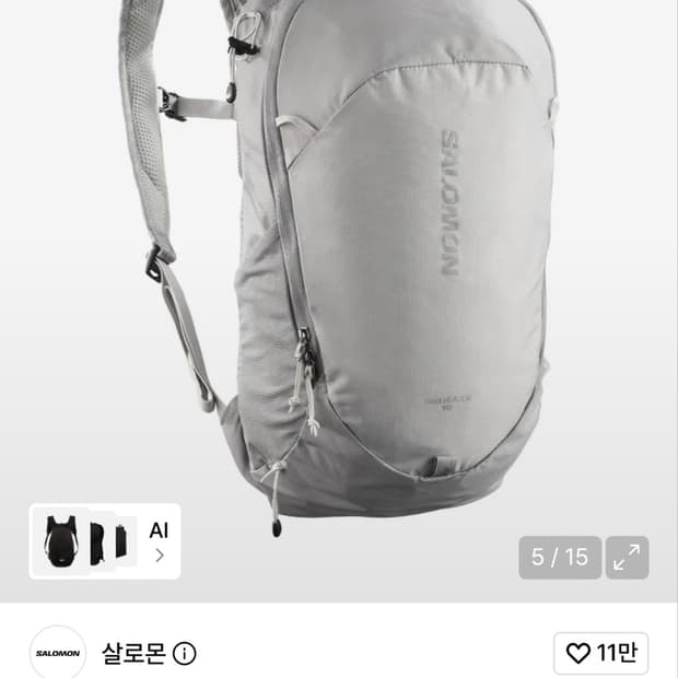 살로몬 트레일블레이저 10L