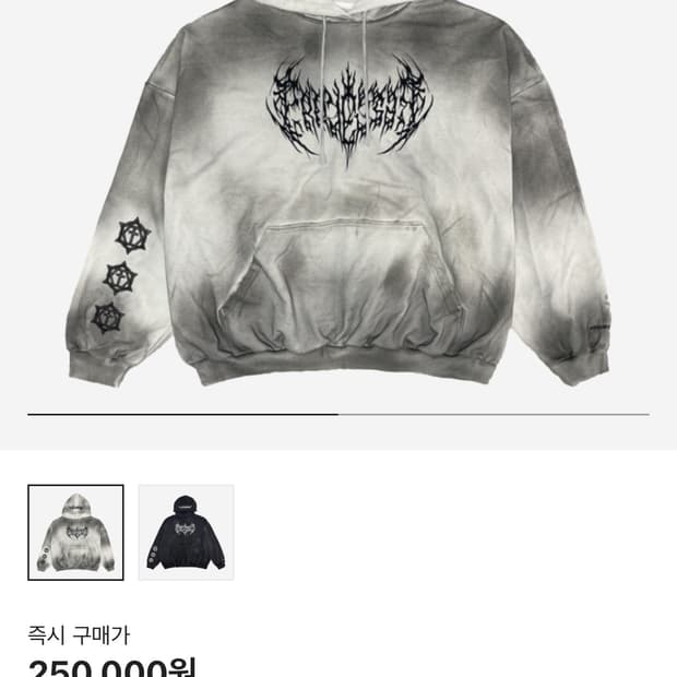 프로젝트 g/r 지알 메탈릭로고 후드 아이보리 2