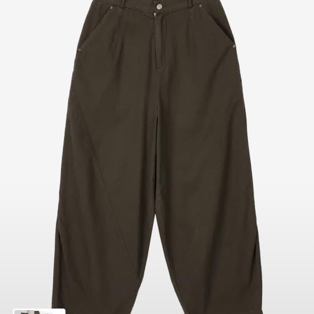 단델 DD structure balloon chino pants