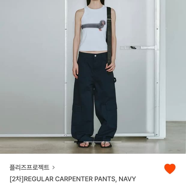 플리즈프로젝트