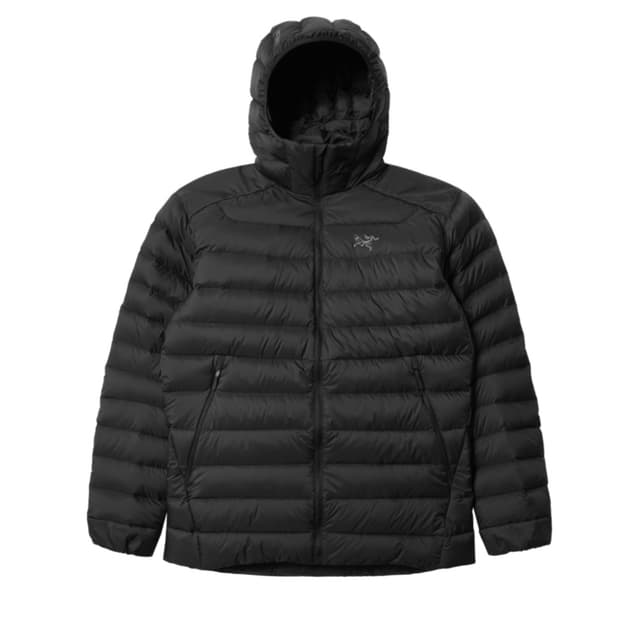 아크테릭스 세륨 경량패딩