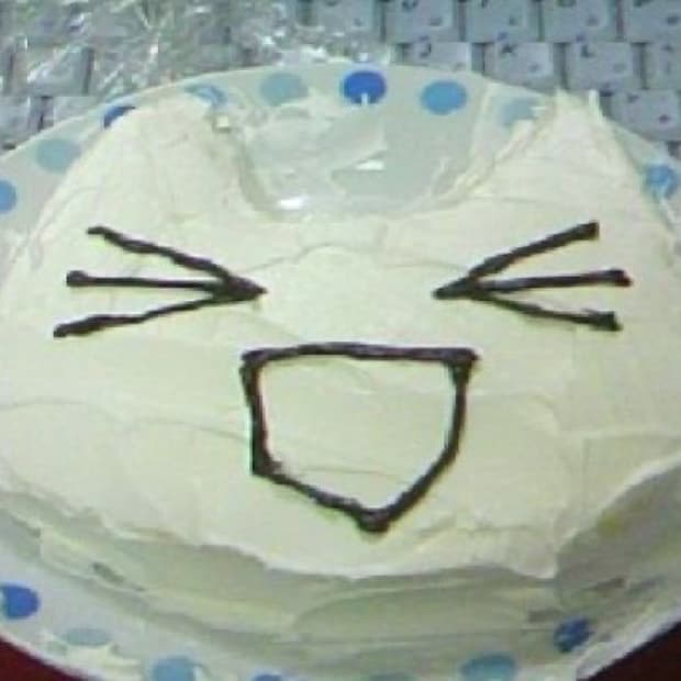 츠바님 결제창 🍀