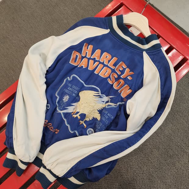 할리데이비슨 스카쟌 