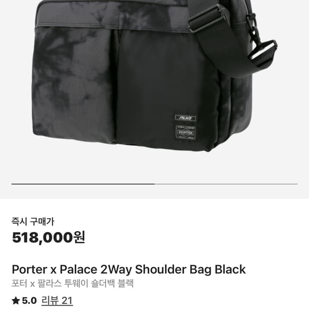 포터 팔라스 투웨이백 