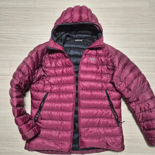 아크테릭스 세륨 L 버건디